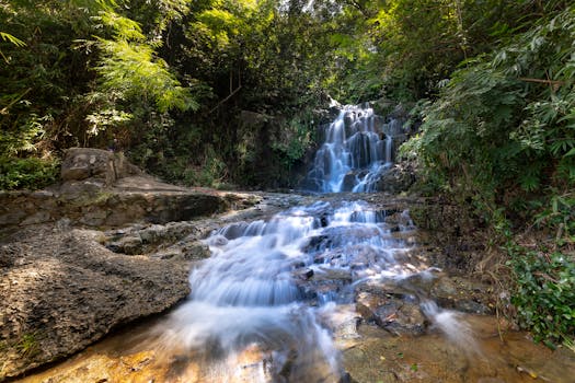 迷人的瀑布坐落在宁静的森林中，四周环绕着充满活力的绿色植物和流动的溪流