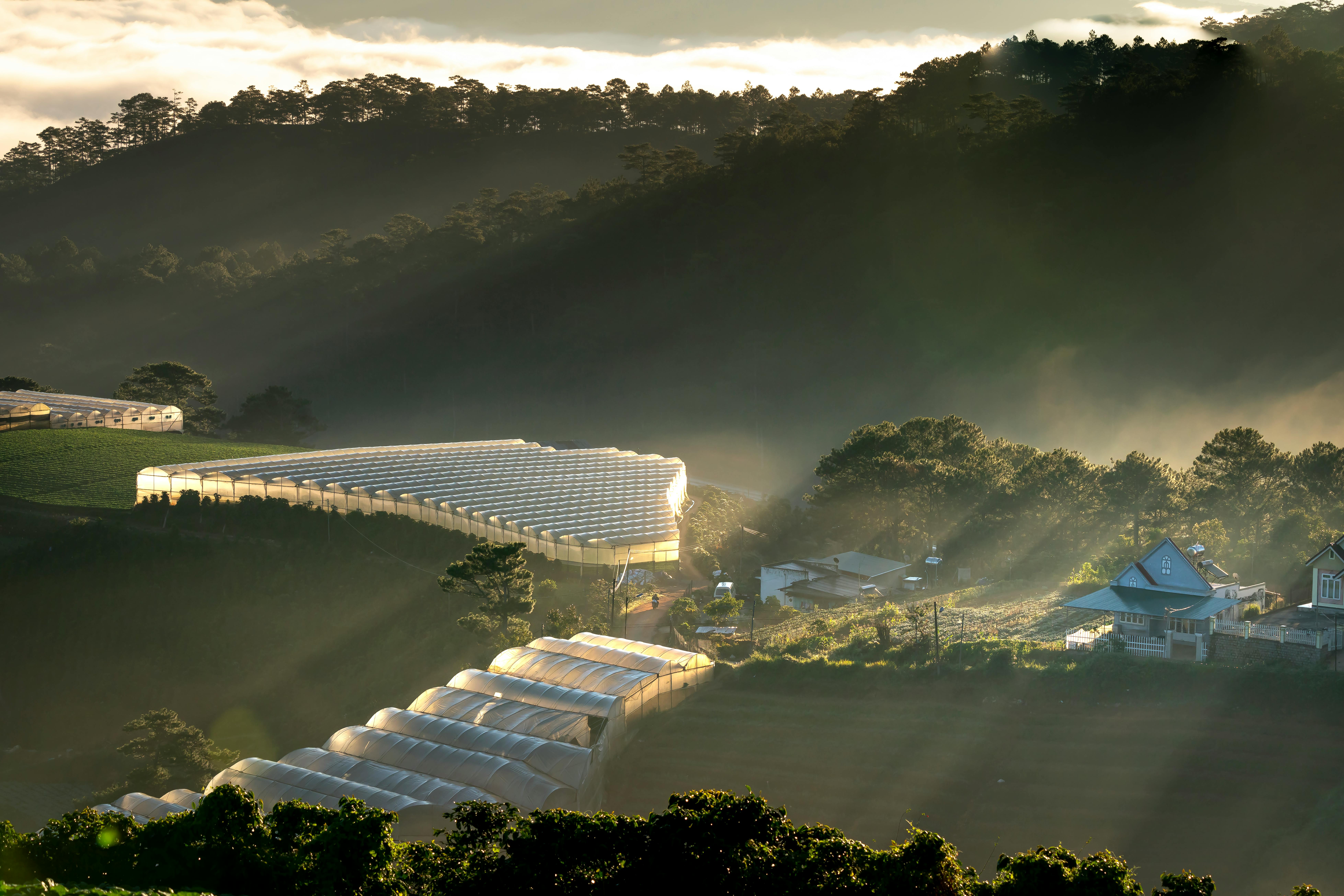温室坐落在云雾缭绕的山间，黎明时分阳光明媚，景色宁静