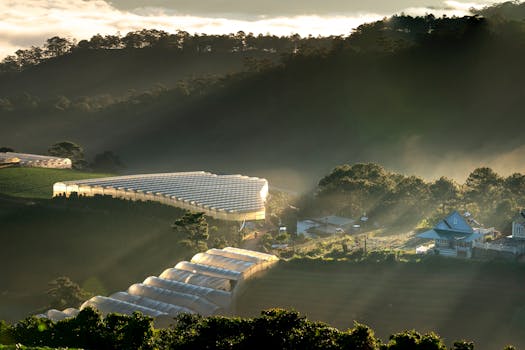 温室坐落在云雾缭绕的山间，黎明时分阳光明媚，景色宁静