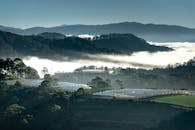 宁静的山谷中，黎明天空下雾气笼罩着温室