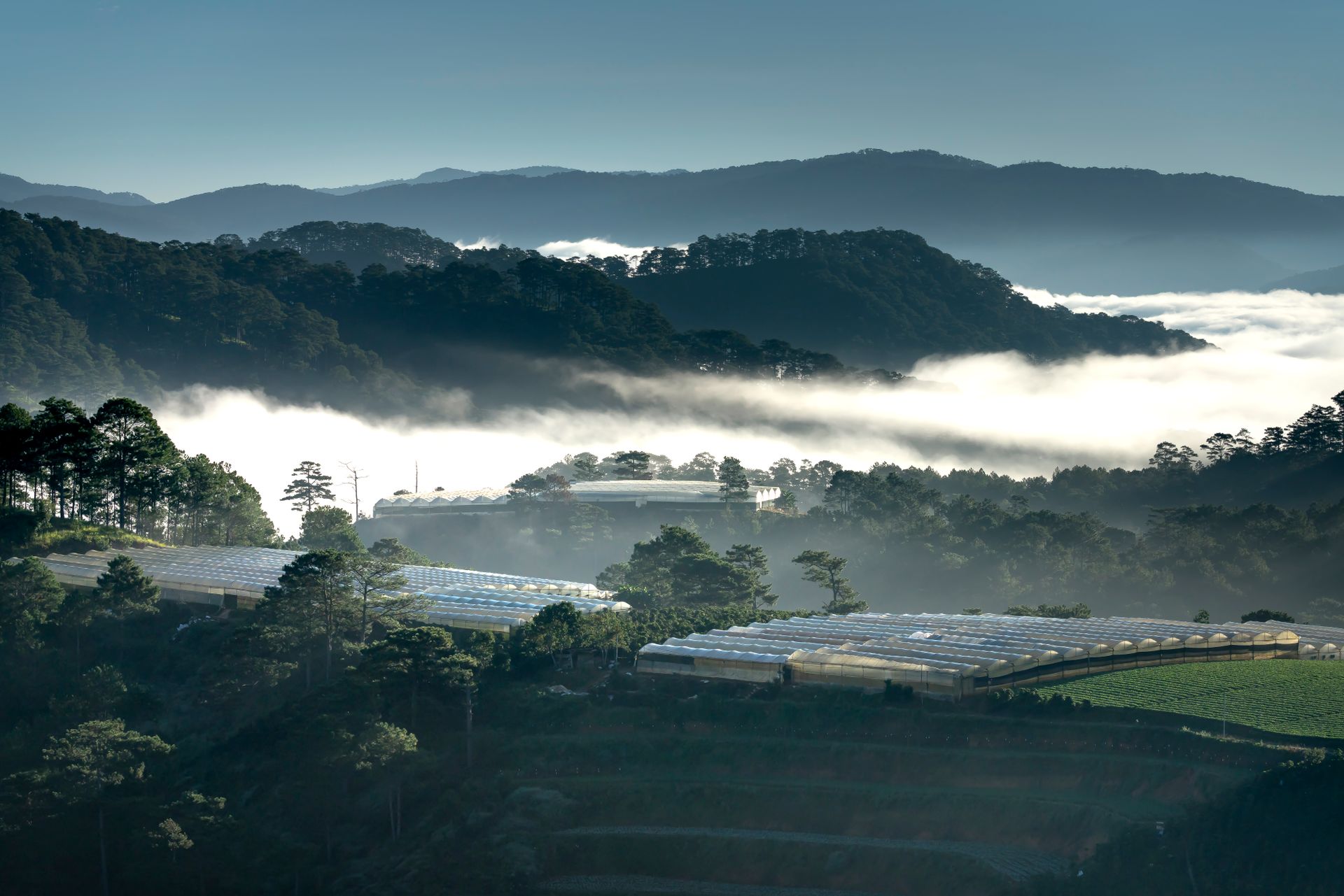 Serene mountain valley view with fog and greenhouses under a tranquil dawn sky.