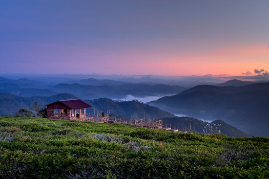 日出时分，薄雾笼罩着山丘和郁郁葱葱的绿色植物，宁静的山区景观中坐落着乡村木屋