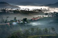 雾山朦胧，森林茂密