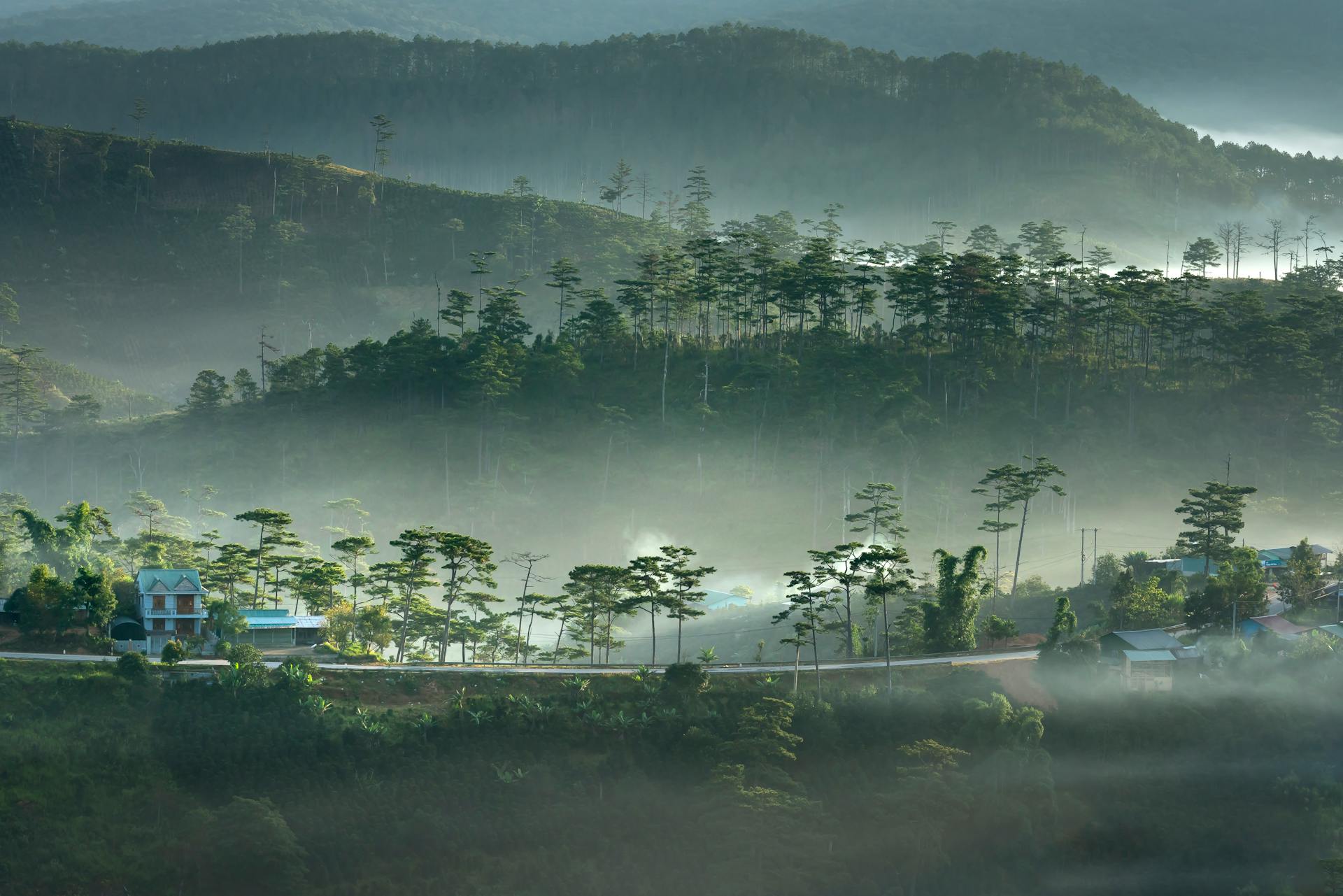 Serene misty village landscape in the mountains at dawn, featuring lush greenery.