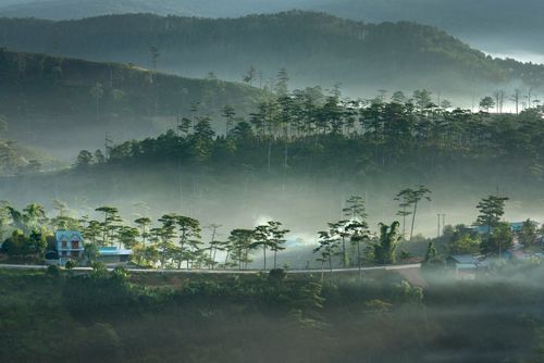 Free Serene misty village landscape in the mountains at dawn, featuring lush greenery. Stock Photo