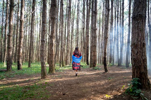 Free Woman Walking in the forest Stock Photo