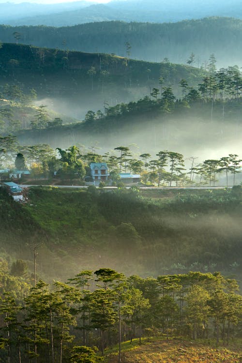 Free Scenic View Of Mountains During Daytime Stock Photo