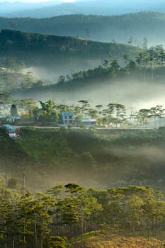 清晨薄雾缭绕，山景宁静，树木若隐若现
