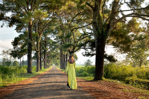 Free Woman Walking Between Trees Stock Photo
