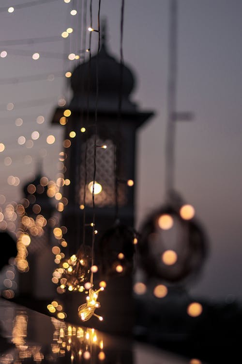 クリスマスの灯り, ジャイプール, ファンシーライトの無料の写真素材