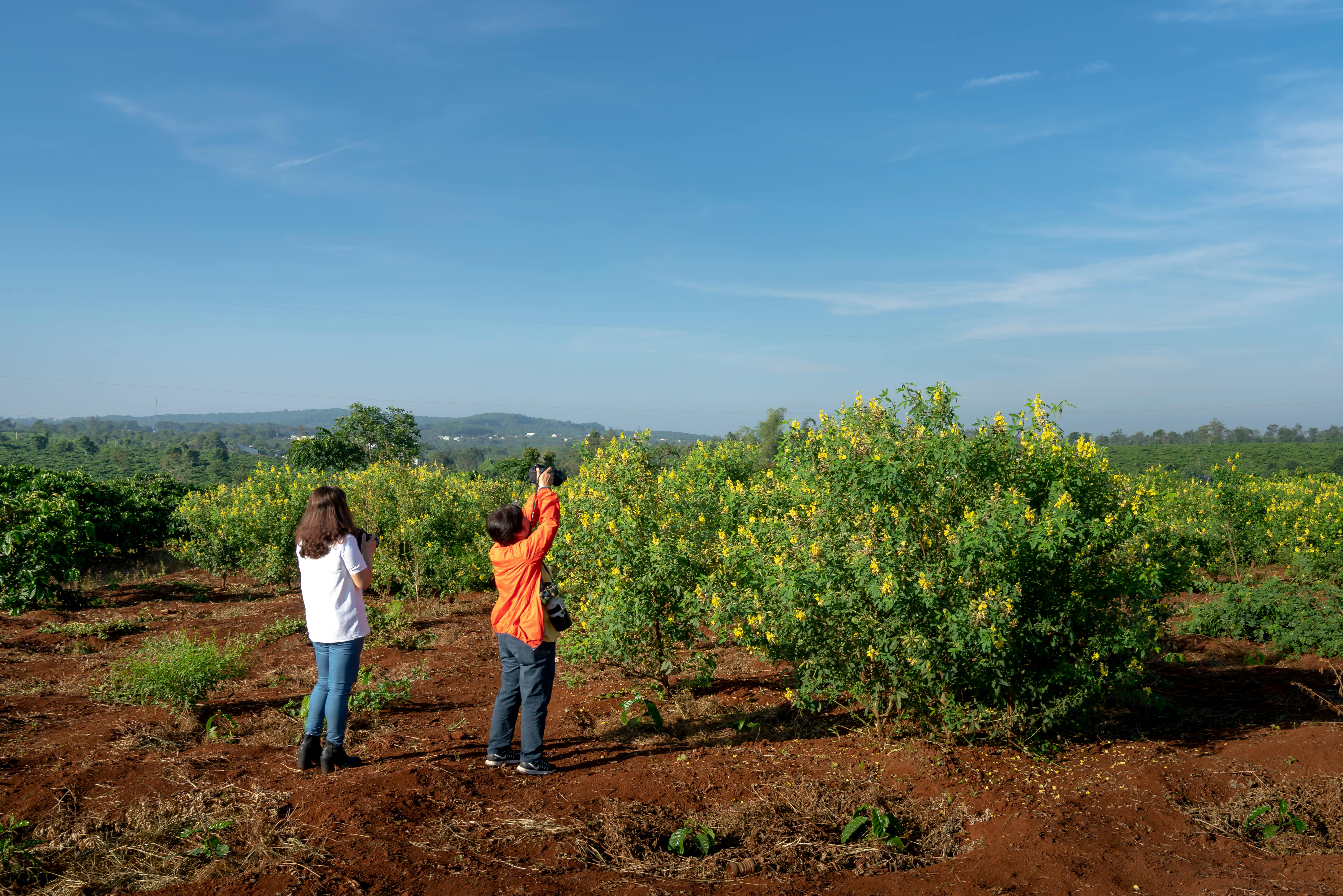 Computer Vision Applications: How Machines See and Understand the World