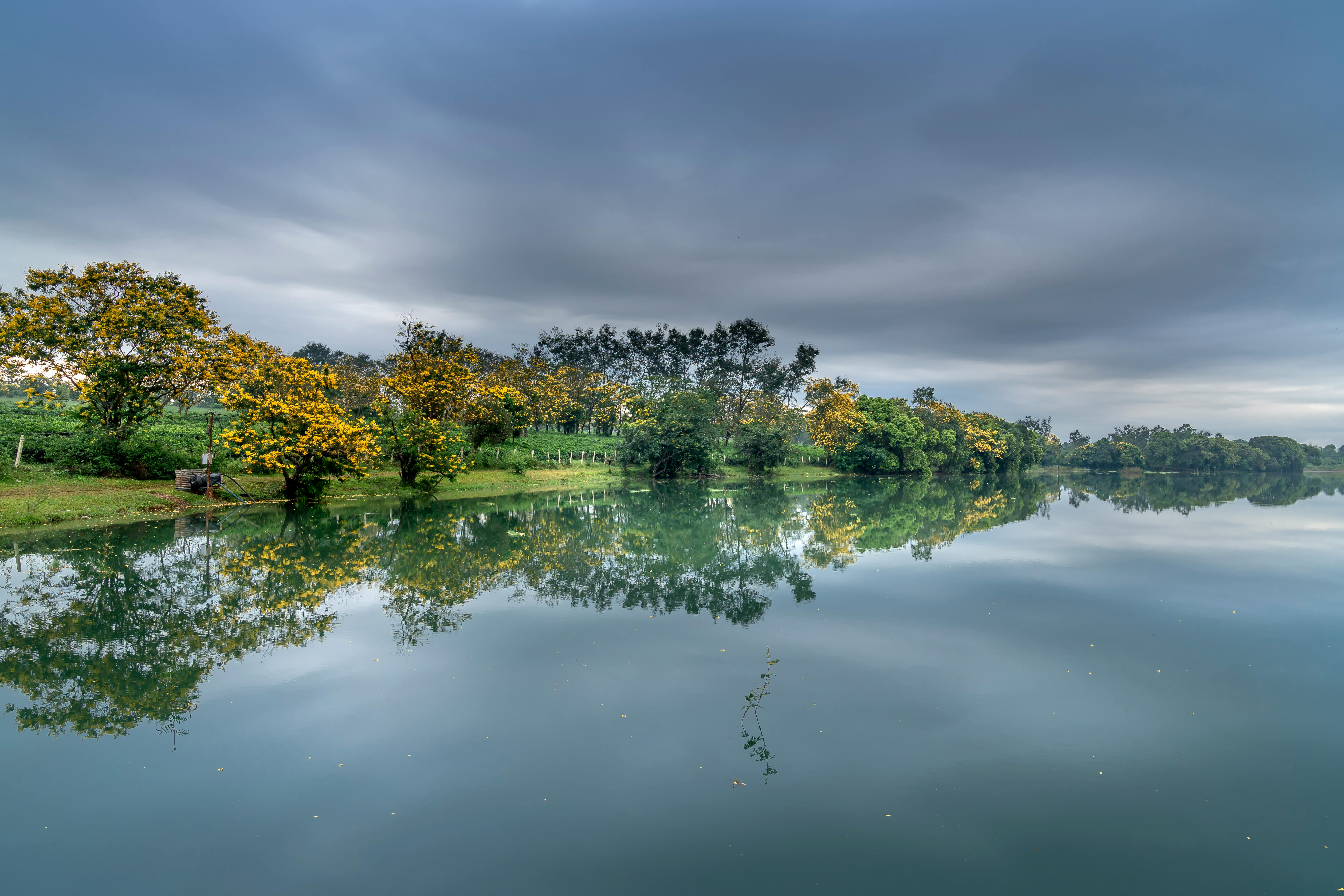 阴沉的天空下，宁静的湖泊映照着生机勃勃的秋树