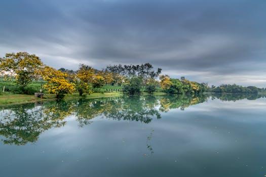 阴沉的天空下，宁静的湖泊映照着生机勃勃的秋树