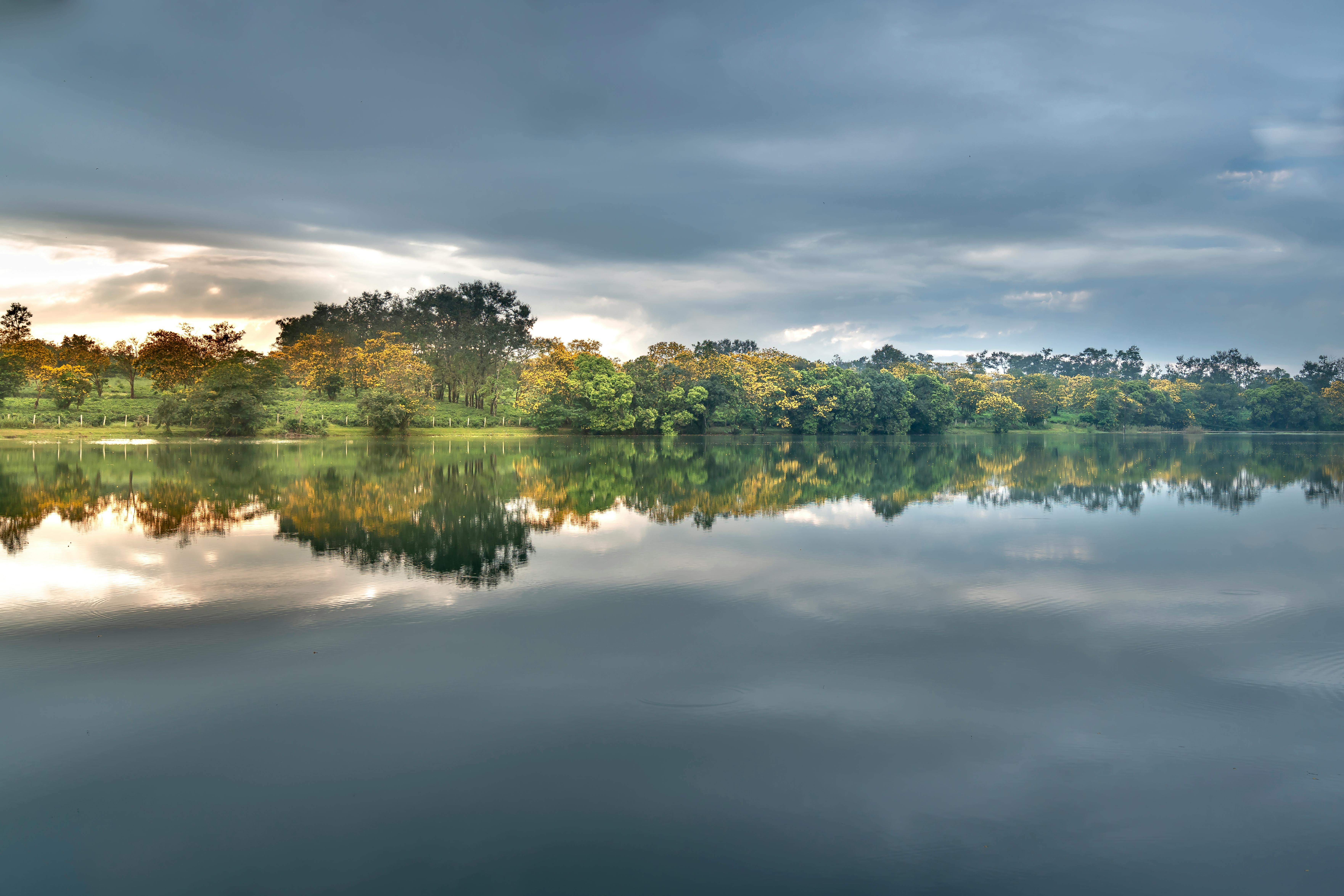 平静的湖泊倒映着周围的树木，上方是喜怒无常的灰色天空