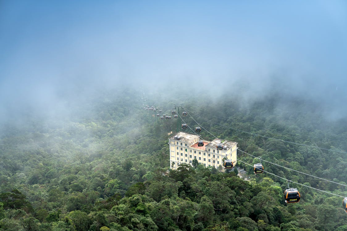 Aerial Photography of Building Surrounded by Trees