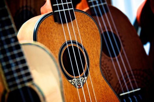 Close-up of Ukulele