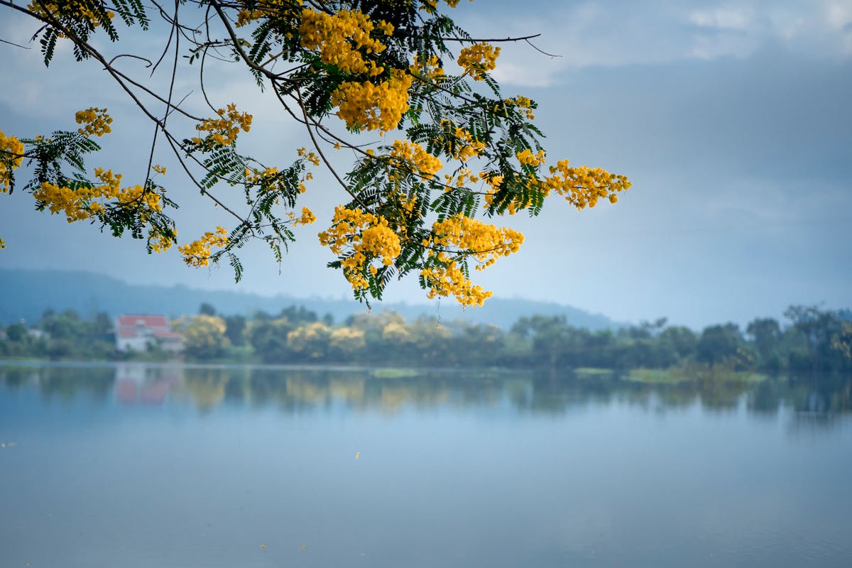 Puerto Banús con yates de lujo