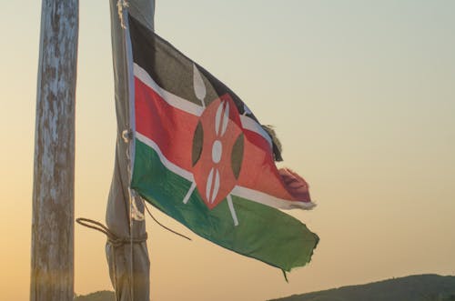 Free stock photo of flag, kenya