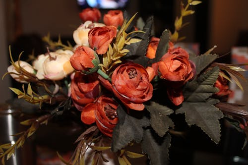 Foto De Flores Em Close Up