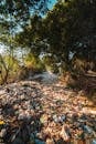 Photo of Plastics Near Trees