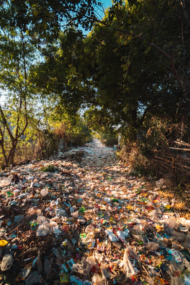 Photo Of Plastics Near Trees