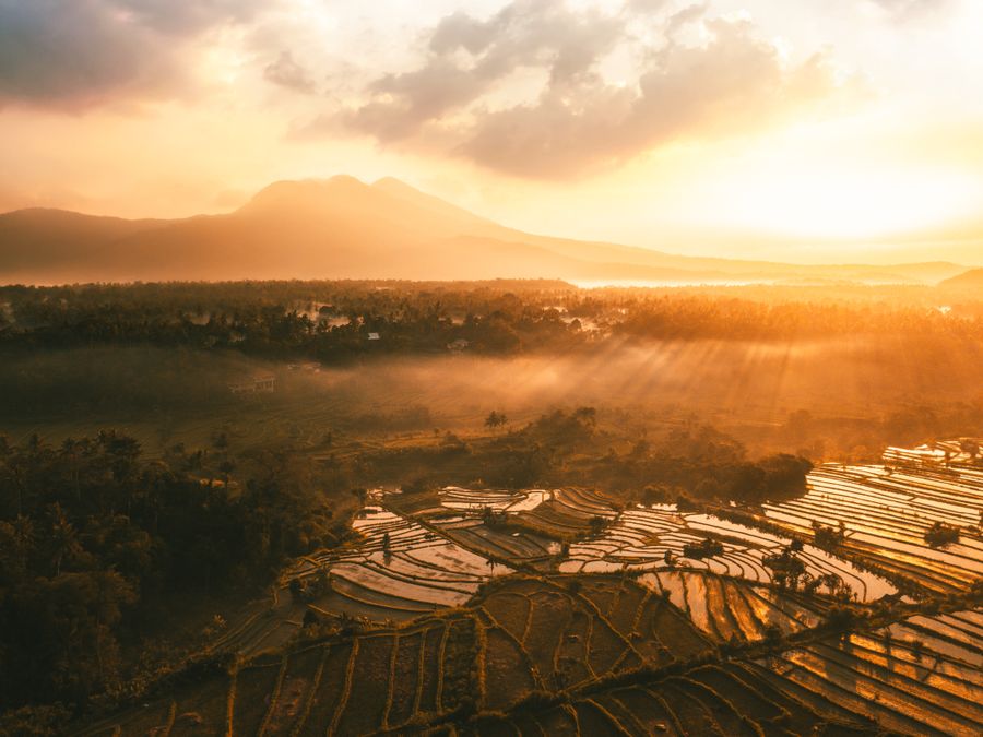 Hamparan sawah terasering di Bali saat matahari terbit