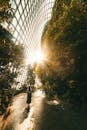 Photo of a Woman Standing on Road Beside Trees Inside Building