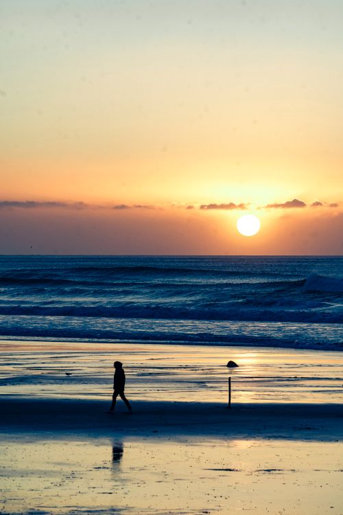 Free A person walks along Taranaki beach during a vibrant sunset in New Zealand. Stock Photo