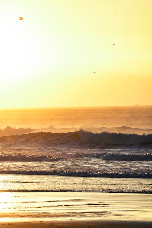 サーフィン, ビーチ, 太陽の無料の写真素材