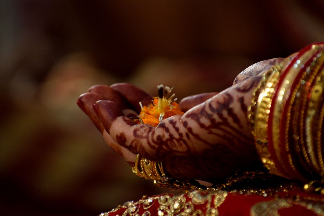 Hand With Mehndi Holding Flower Free Stock Photo Hand With Mehndi Holding Flower Free Stock Photo