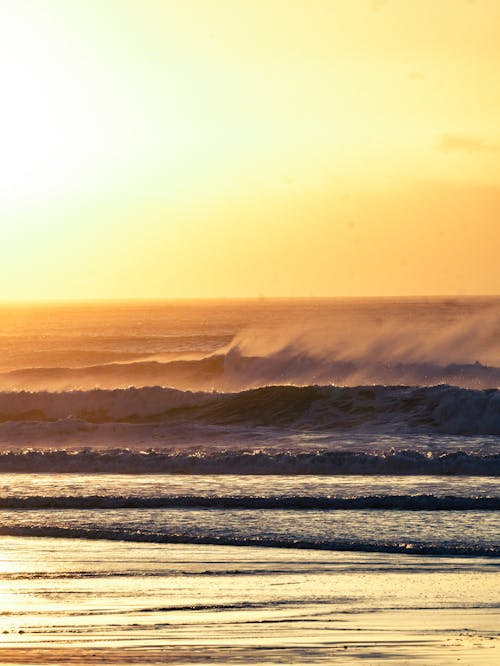 サーフィン, ビーチ, 太陽の無料の写真素材