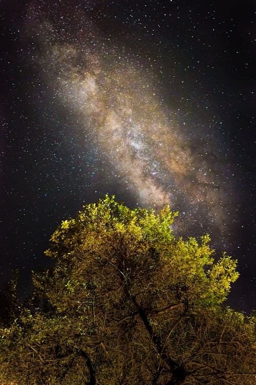 açık hava, ağaç, astronomi içeren Ücretsiz stok fotoğraf
