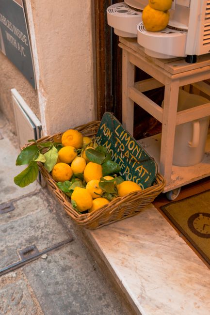 Tips for Exploring Italian Cuisine Like a Local Tips for Exploring Italian Cuisine Like a Local