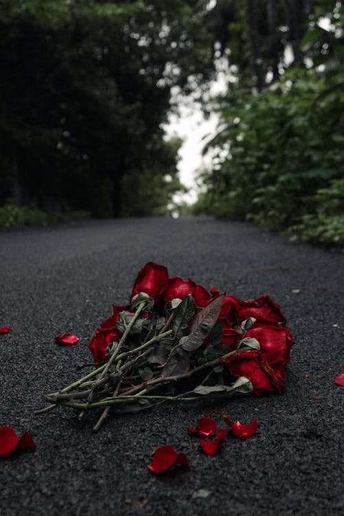 A bouquet of red roses laying on the ground