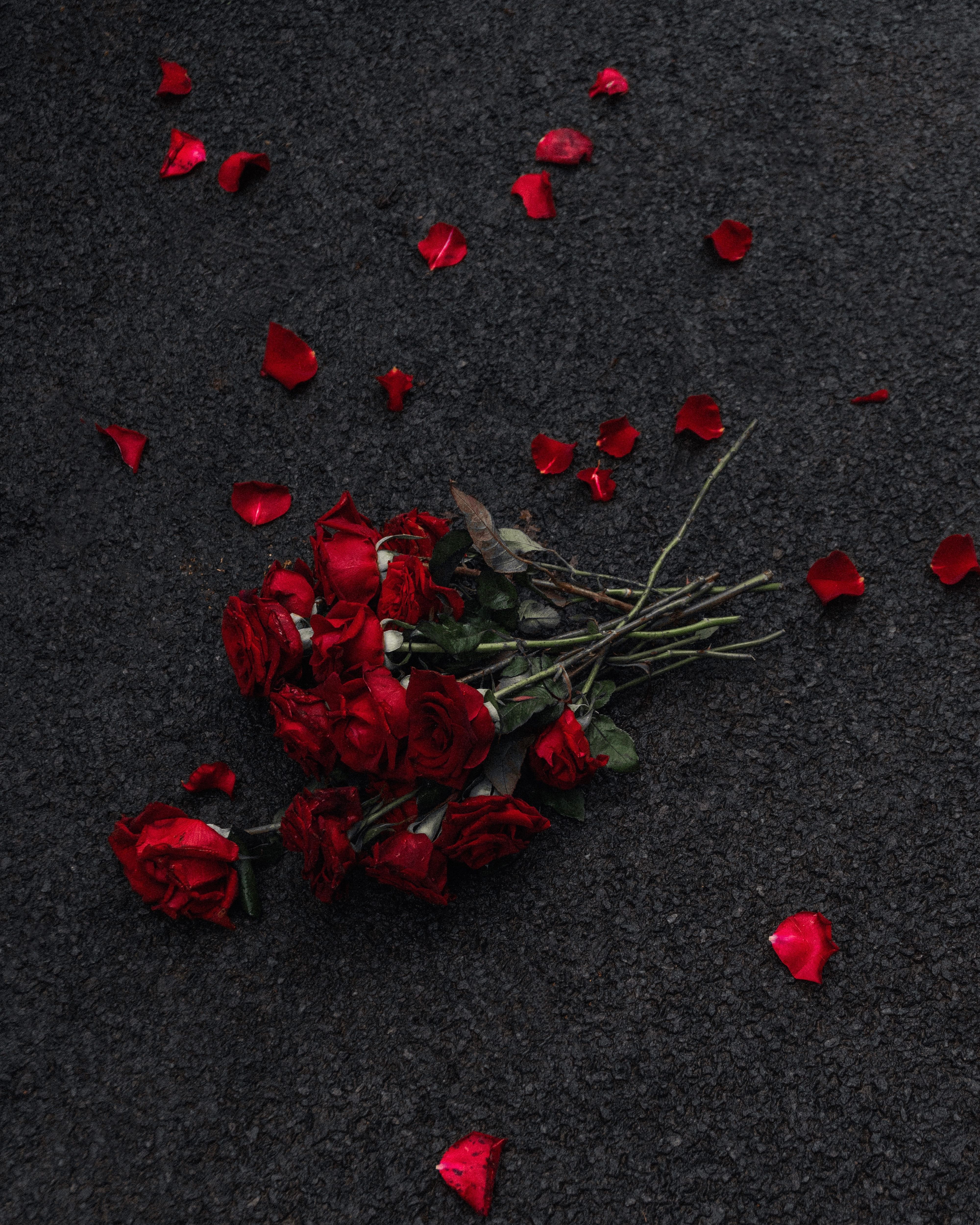 Bouquet of Red Flowers on a Path · Free Stock Photo