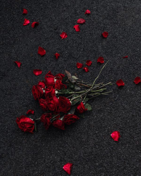 Bouquet of Red Flowers on a Path · Free Stock Photo