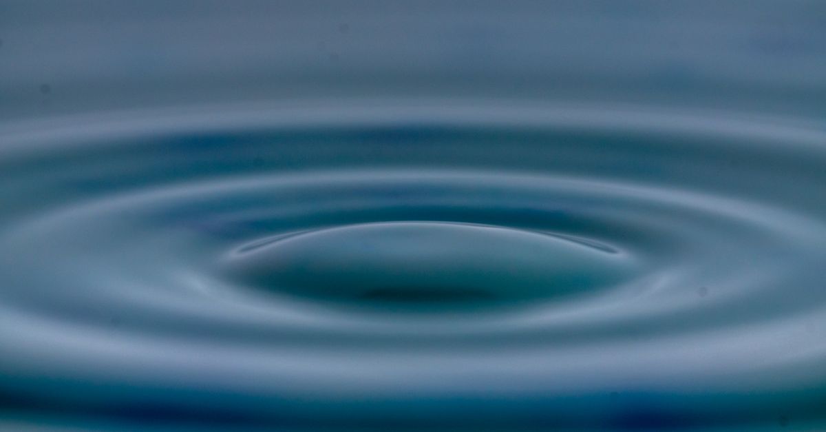 The Ripple Effect of False Claims Act Enforcement on US Healthcare