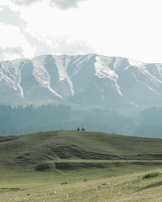 A scenic view of horse riders on green hills with snow-capped mountains in Gulmarg.