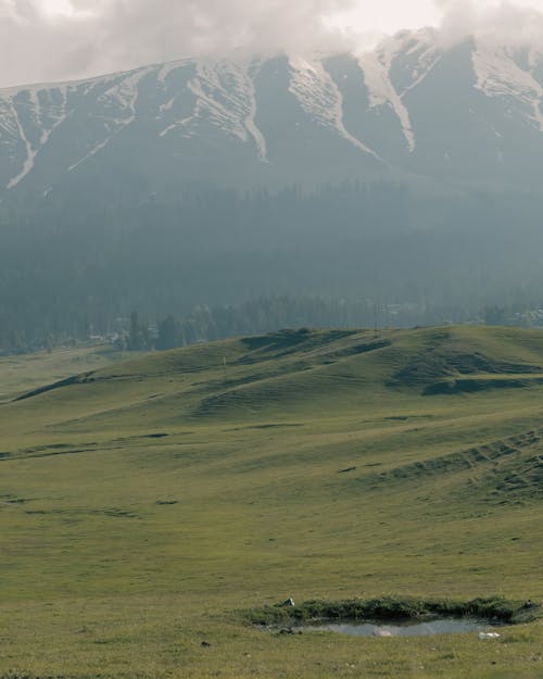 Ilmainen kuvapankkikuva tunnisteilla aamu, gulmarg, kenttä