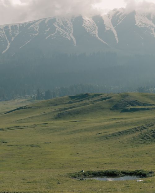 Free Tranquil meadow landscape in Gulmarg with snow-covered mountains in the background, creating a peaceful scene. Stock Photo