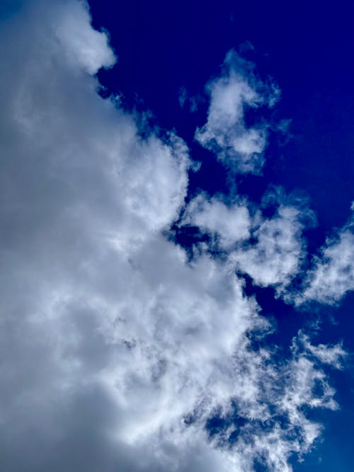 Kostenloses Stock Foto zu blaue himmel, draußen, flaumig
