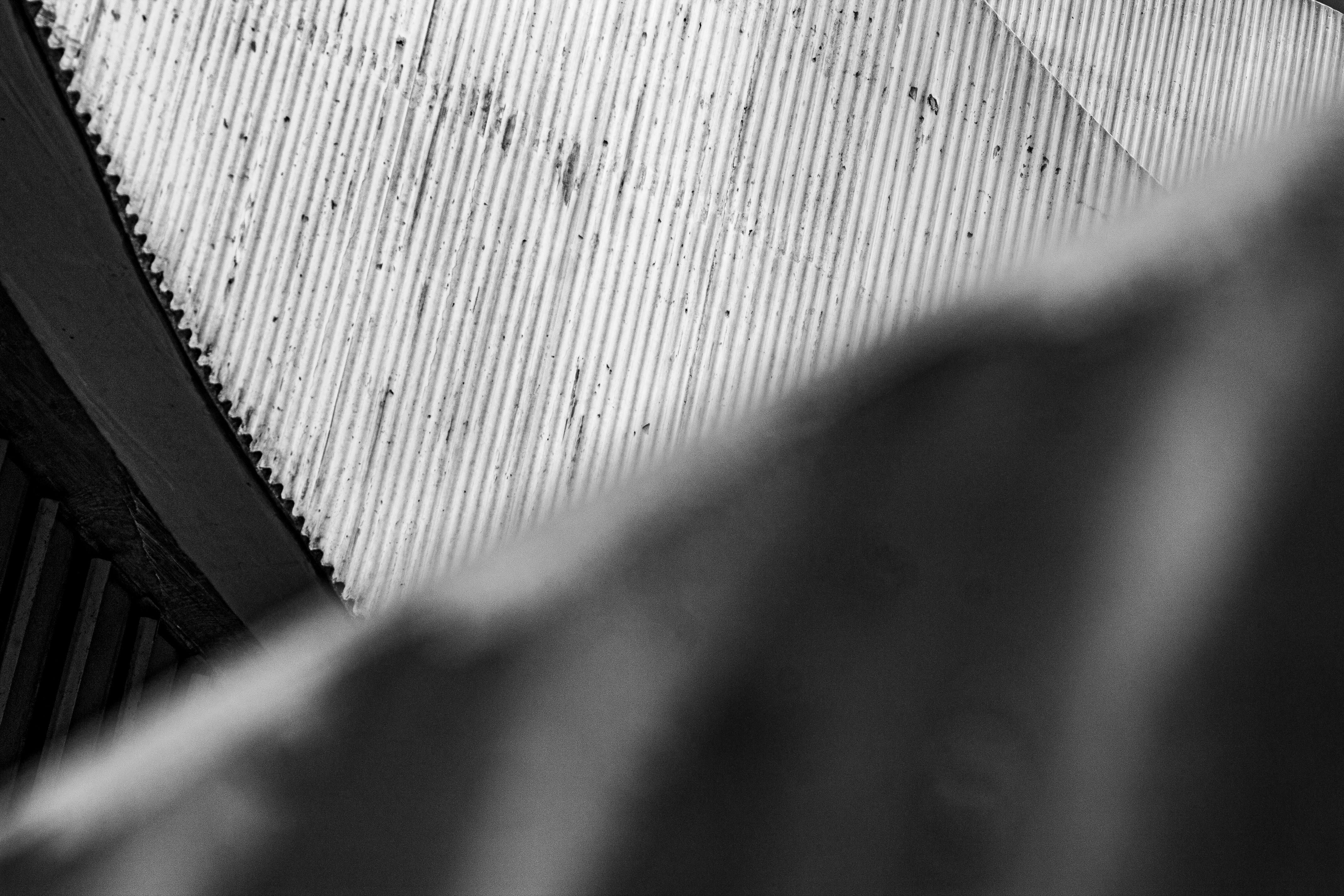 Mario Johnson - Fotografía