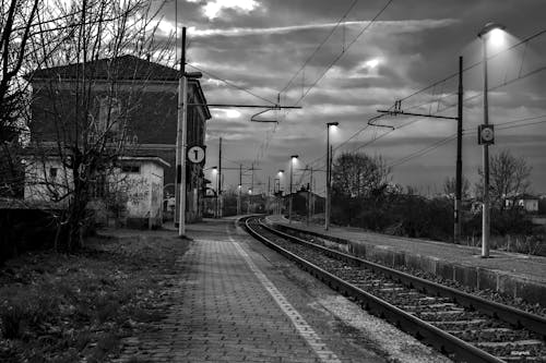 Railroad Tracks by Bare Trees Against Sky