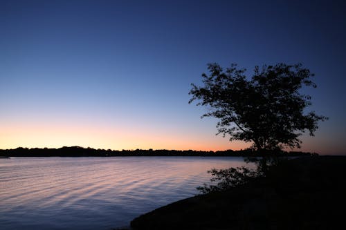 コーブアイランドパーク, スタンフォード, 夕日の無料の写真素材