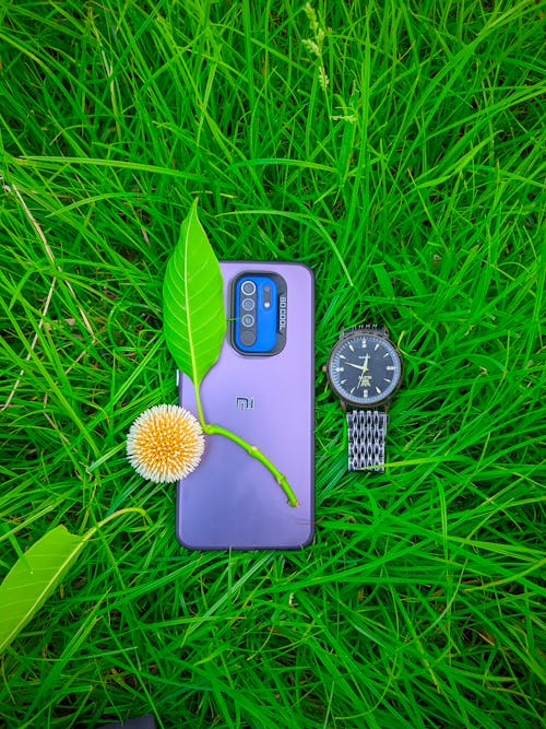 A purple phone and a watch are sitting in the grass