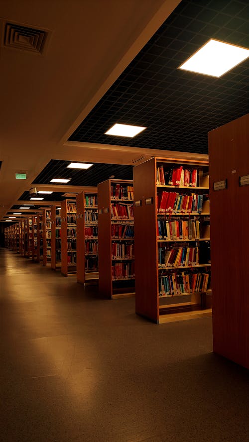 Free stock photo of backlight, bright light, library