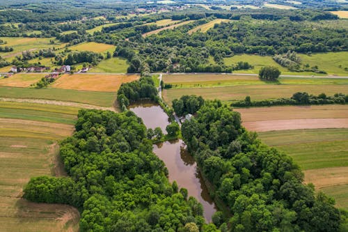 Gratis stockfoto met boerderij, boerenwoning, boom