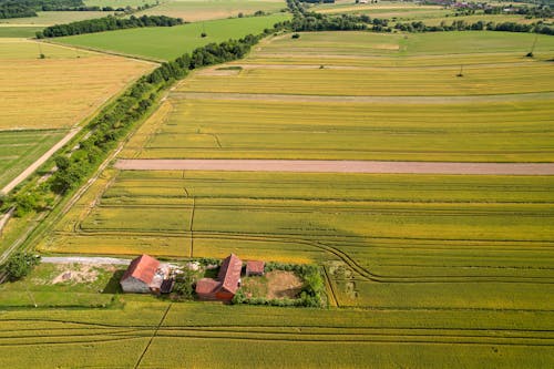 國家, 夏天, 小麥 的 免費圖庫相片
