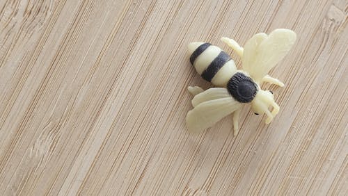 Fotos de stock gratuitas de abeja, animales, insectos