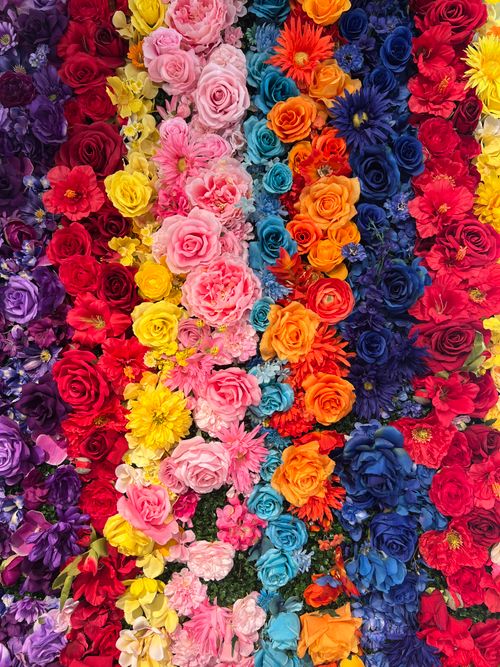 Free Captivating floral display showcasing vivid colors in a vertical arrangement. Stock Photo